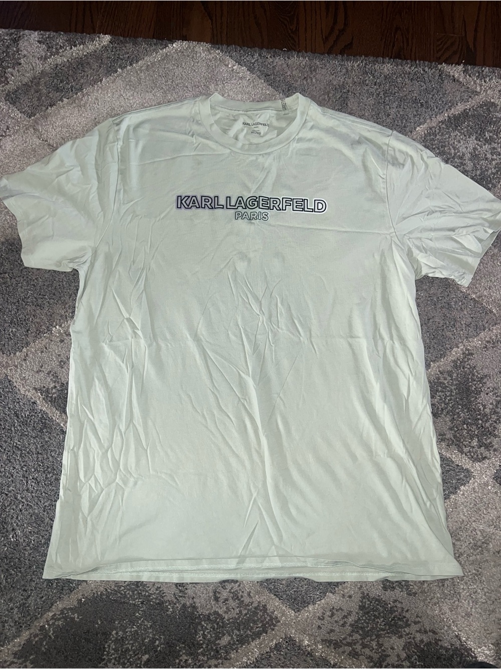 Karl Lagerfeld Men's Pale Mint Logo Tee